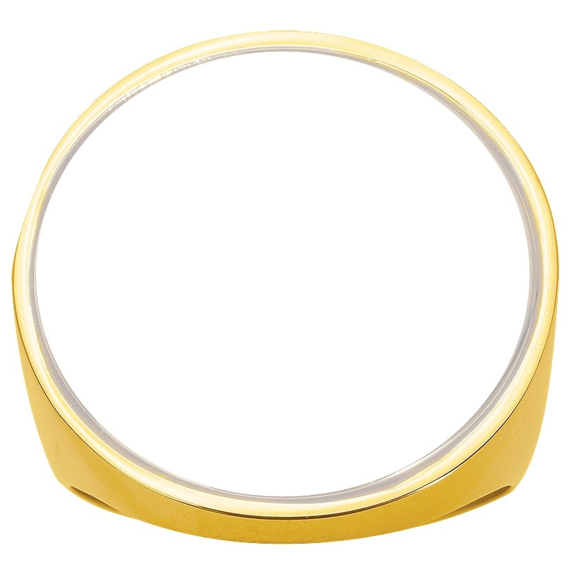 Bague Phebus Femme en Acier